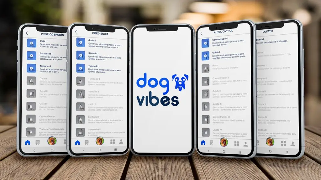 DogVibes - Entrena a tu perro